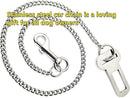 Stainless Steel Dog Seat Belt for Car – Heavy-Duty Pet Safety Restraint & Travel Tether