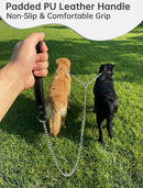 Heavy-Duty Metal Chain Dog Leash for Large & Medium Dogs – 6-Foot Steel Pet Lead