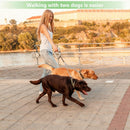 Heavy-Duty Double Dog Leash Chain for Two Dogs – Stainless Steel Twin Lead Coupler
