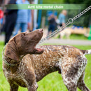 Heavy-Duty Double Dog Leash Chain for Two Dogs – Stainless Steel Twin Lead Coupler